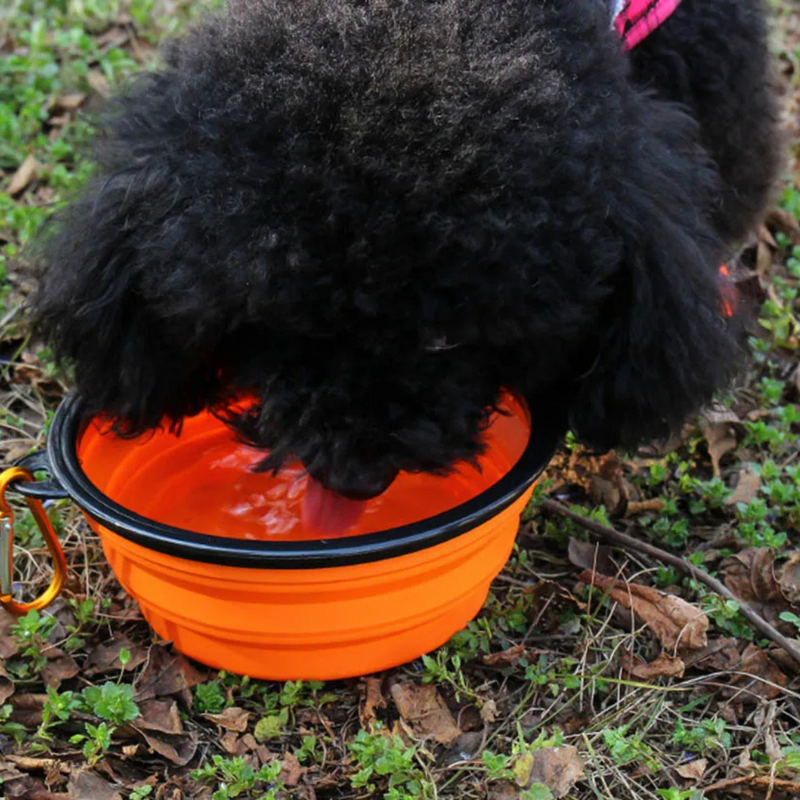 Comedouro Com Bebedouro Retrátil Para Pets